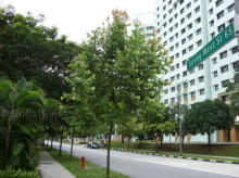 Blk 606A Jurong West Street 65 (S)641606 #77652